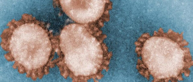 Partículas de coronavirus supuestamente usadas como armas biológicas