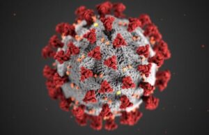 No hay pruebas de que Pfizer realizara experimentos inadecuados con el coronavirus Virus del coronavirus con el que Pfizer niega haber realizado experimentos inadecuados