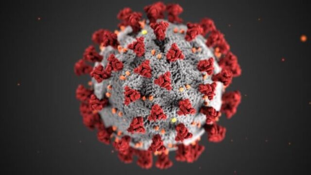 Virus del coronavirus con el que Pfizer niega haber realizado experimentos inadecuados