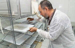 La engañosa retórica de Ramaswamy sobre el cambio climático El candidato republicano a la presidencia Vivek Ramaswamy cita repetidamente estadísticas falsas para restar importancia a los riesgos del cambio climático.