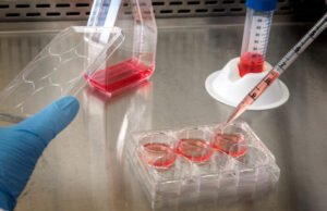 Verificando a Robert F. Kennedy Jr. Aditamentos de trabajo de laboratorio para desarrollo de vacunas, temas de los que ha hablado Robert F. Kennedy Jr.