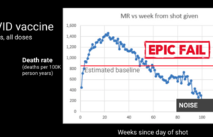 Un análisis defectuoso de datos de Nueva Zelanda no demuestra que las vacunas contra el COVID-19 mataron a millones de personas Gráfica mal manejada sobre consecuencias de la vacuna Covid en Nueva Zelanda.