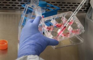 Publicaciones difunden falacias sobre el uso de las vacunas contra el COVID-19 en Rusia Científico trabajando en la vacuna contra el Covid 19 en Rusia