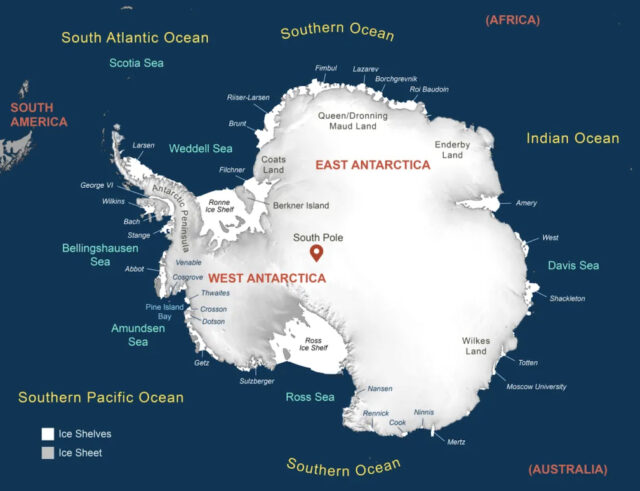 Las plataformas de hielo antárticas, en blanco, se ven en el borde del continente que está cubierto en gran parte por la capa de hielo (gris). Créditos: Agnieszka Gautier, Centro Nacional de Datos de Nieve y Hielo