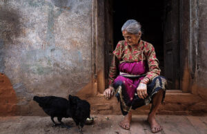 Finlandia ofrece vacunas contra la gripe aviar a sus trabajadores agrícolas. Estados Unidos debería hacer lo mismo, dicen expertos (Photo caption: Wikimedia Commons)