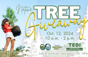TEDI Native Tree Giveaway Set for Oct. 12