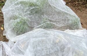 Don’t Let Frost End Your Garden Season