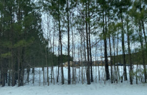 Closures and delays for January 13th Snowy Delaware (Photo HOY en Delaware).