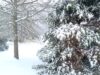 Snow Shoveling and Cold Weather Safety Tips Snowy Delaware