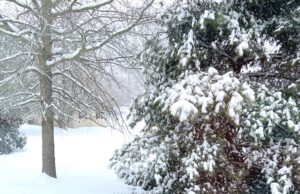 Snow Shoveling and Cold Weather Safety Tips Snowy Delaware