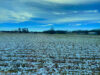 Sussex County readies for first major winter storm of 2024-2025 season Snowy Sussex County 01/05/25