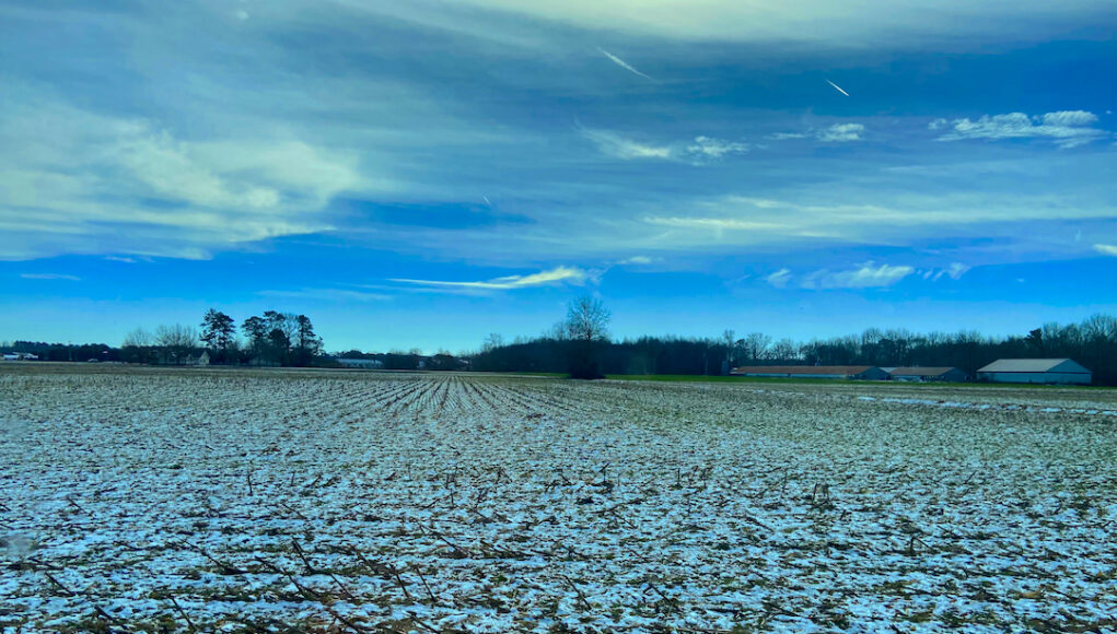 Snowy Sussex County 01/05/25
