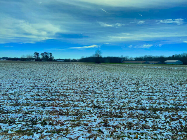 Snowy Sussex County 01/05/25