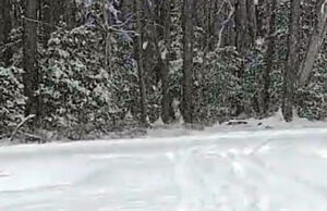 Sussex County experiencing moderate bands of snow Sussex County experiencing moderate bands of snow