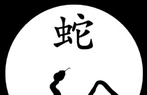 The Year of the Snake Alice-astro, CC BY-SA 3.0 , via Wikimedia Commons