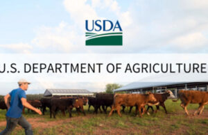 Secretary Rollins Announces Food Purchases for Communities in Need