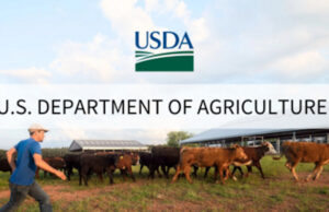 Secretary Rollins Praises President Trump’s One Big Beautiful Bill USDA