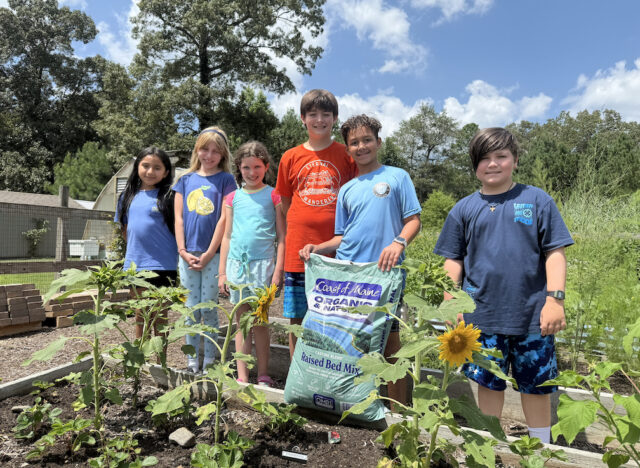 Gathered by the blooming sunflowers in the Sussex Academy Elementary garden are (l-r) Melissa Gomez-Borrayes, Milena Costello, Odette Frankum, Sawyer Hudson, Nolan Thomas and Jessen Wobeter.