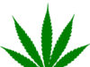 Delaware Reports Strong Start to Recreational Marijuana Sales Cannabis leaf (Image: Wikimedia Commons)