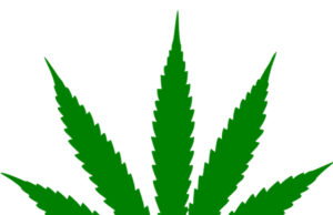 Delaware Reports Strong Start to Recreational Marijuana Sales Cannabis leaf (Image: Wikimedia Commons)