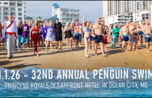 Atlantic General Hospital Foundation to host 32nd annual Penguin Swim