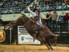 Lone Star Rodeo and Monsters of Metal return to the Civic Center Lone Star Rodeo (Photo Courtesy Wicomico Civic Center)
