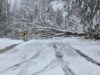 School (and other) closures for Feb. 25