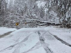 School (and other) closures for Feb. 25