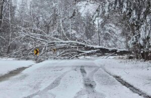 School (and other) closures for Feb. 25