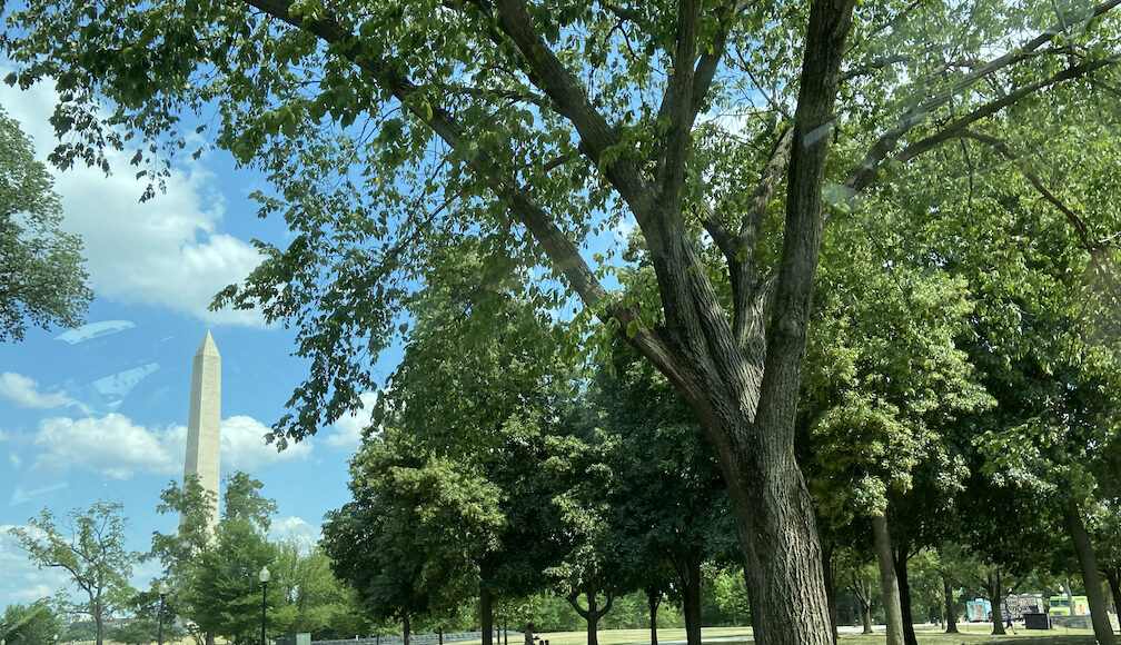 Washington DC (Foto HOY en Delaware)