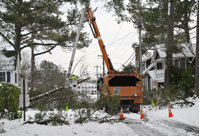 Tree crews worked to clear fallen limbs as Delmarva Power works to restore power in Rehoboth Beach, DE Wednesday, Feb. 25, 2026 (FILE Photo Courtesy Delmarva Power)
