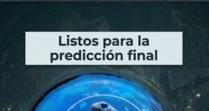 La tortuga Yellow predice el campeón de la final del Mundial 2026: ¿Quién ganará, España o Argentina?