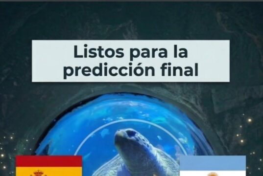 La tortuga Yellow predice el campeón de la final del Mundial 2026: ¿Quién ganará, España o Argentina?